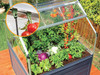 Canopia by Palram Plant Inn 4 ft. x 4 ft. Greenhouse Kit - Silver Structure & Clear Panels