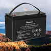 Renogy 12V 200Ah Lithium Iron Phosphate Battery with Bluetooth