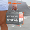 Rich Solar ALPHA 1 PRO | 12V 100Ah LiFePO4 Battery