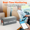 Rich Solar ALPHA 2 PRO | 12V 200Ah LiFePO4 Battery