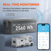 Rich Solar RS-B122S ALPHA 2 | 12V 200Ah LiFePO4 Battery | Powerful 12V Lithium Battery for RVs, Trailers, Vans, Boats, Off-Grid | 5,000 Lifetime Cycles | Bluetooth and Internal Heat Technology (RS-B122S)