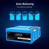 SunGoldPower LFP24-100A 24V 100Ah LiFePo4 Deep Cycle Lithium Battery Bluetooth / Self-Heating / IP65 (LFP24-100A)