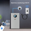 SunGoldPower SG48200T-WIFI Wi-Fi Module for SG48200T Battery (SG48200T-WIFI)