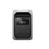 EcoFlow EFDELTA3C-US-L DELTA 3 Classic Portable Power Station (1024Wh) - Light Gray (EFDELTA3C-US-L)
