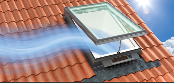 Skylights category image