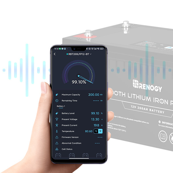 Renogy 12V 200Ah LiFePO4 Deep Cycle Lithium Battery w/ Built-In Bluetooth  BMS 2000 Cycles, Backup Power Perfect for Off-Grid RBT200LFP12-BT-US - The  Home Depot