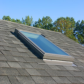 skylight-roof-trees.20150428.jpg