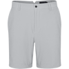 MICROCHIP GREY