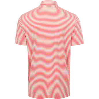 SUNSET/LIGHT SUNSET || BACK