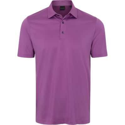 SYRAH GRAPE || FRONT SYRAH GRAPE || FRONT