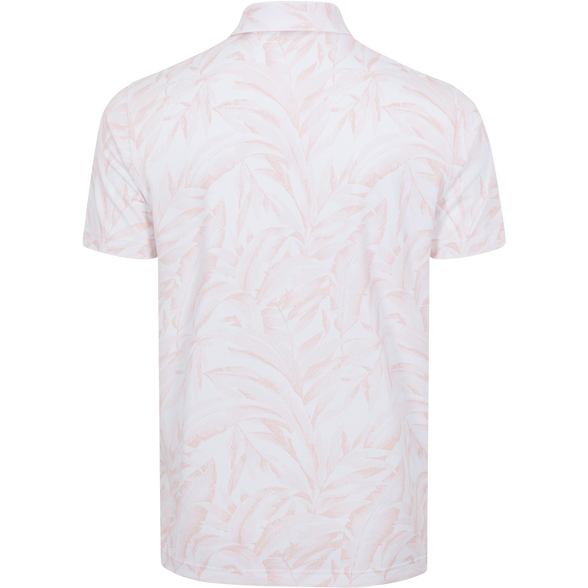 LIGHT SUNSET || BACK