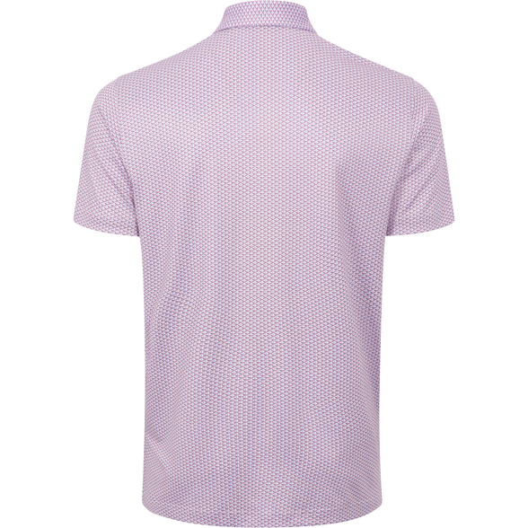 LIGHT CABERNET || BACK