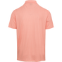 PEACH || BACK PEACH || BACK