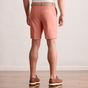 CORAL MIST || BACK MODEL