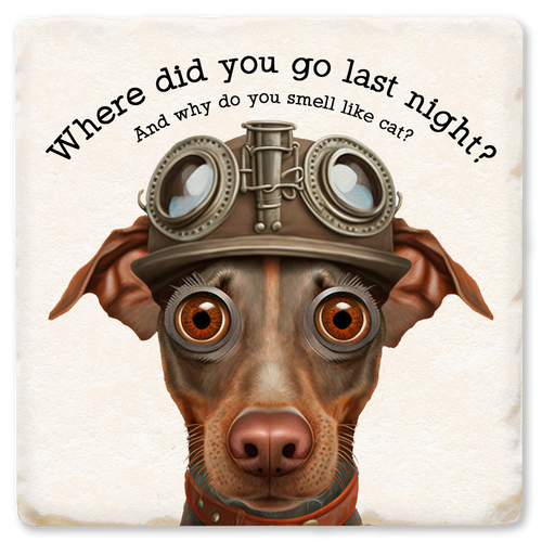 Coaster made of absorbent ceramic & cork back printed with Where did you go last night? And why do you smell like cat?