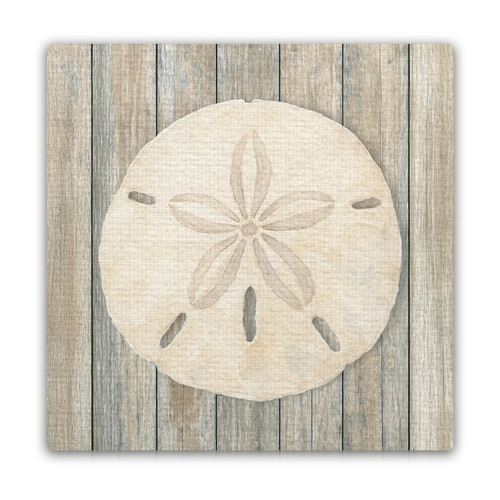 Coastal Sand Dollar Mini Masterpiece Magnet