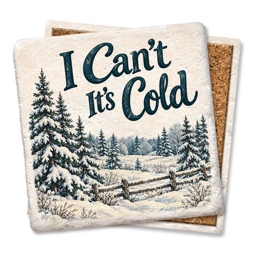 I Can't It's Cold Coaster