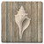 Coastal Spiral Shell Limestone Coaster