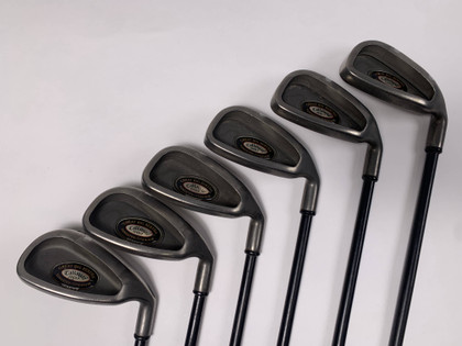Callaway Big Bertha Tungsten Titanium Iron Set 5-PW RCH 96 Regular RH, 1 of 12
