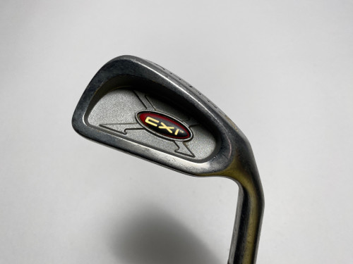 Cobra CXI Single 6 Iron True Temper Dynalite Stiff Steel Mens RH (PA1301KJJGW3)