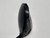 Ping G425 Max Driver 12* Alta CB Soft Regular 55g Senior Graphite Mens RH, 5 of 12