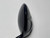 Callaway XR Speed Driver 10.5* Project X HZRDUS 4.5 Blue 55g Senior RH HC, 6 of 12