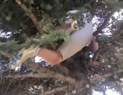 Man climbing tree to retrieve putter