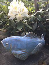  Medium  Koi – Sky Blue