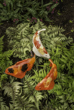 Set of 3 Small Koi