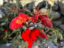 Set of 3 Salsa Koi- All 3 sizes / 20% Off