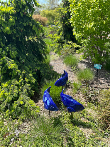 Set of 3 Medium Cobalt Koi – Made in ME by Fish in the Garden