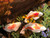 Set of 3 Kohaku Koi 2nds - FREE SHIPPING