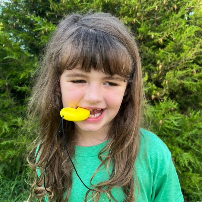 ARK Super Chewer Fairytale Pack