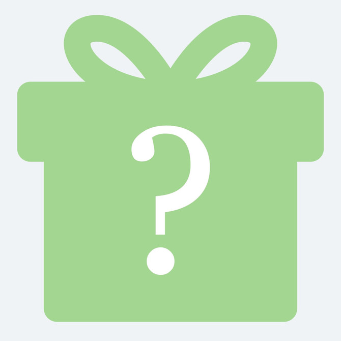 Bite Box Mystery Suprise Chew Pack