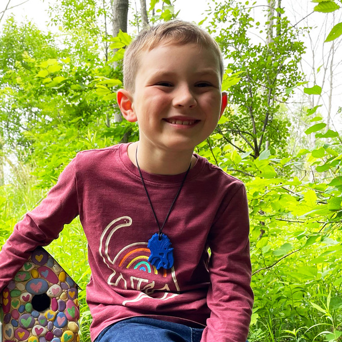 ARK's Triceratops Dinosaur Chew Necklace | Chewelry