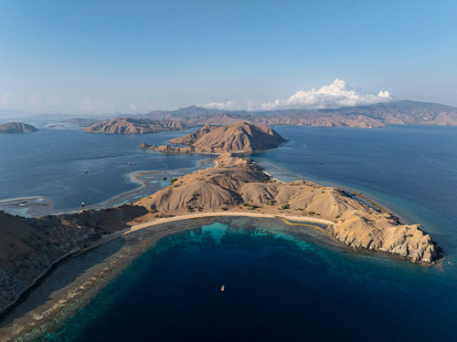 komodo-indonesia-pindito.jpg