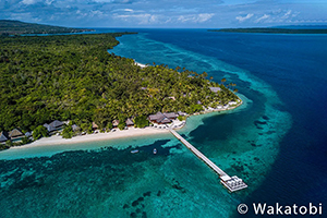 wakatobi-dive-resort-aerial.jpg