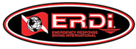 ERDI Logo