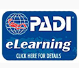 padi-elearning-logo