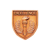 Bronze JROTC Excellence shield medal with a flaming torch flanked symmetrically by laurel branches.