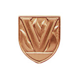 Bronze shield-shaped JROTC medal with a bold letter 'V' rising over a backdrop of raised flickering flames.
