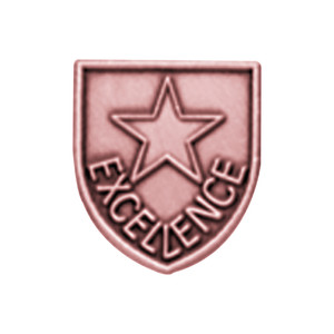 Bronze JROTC Excellence shield medal with a large five-pointed star embossed prominently at the center.