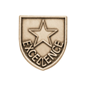 Gold JROTC Excellence award in shield form with a raised star and curved 'EXCELLENCE' bottom inscription.