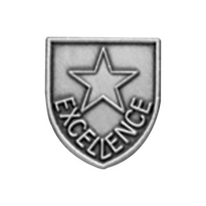 Matte silver shield-shaped JROTC Excellence pin with a five-pointed star relief in all-caps serif font.