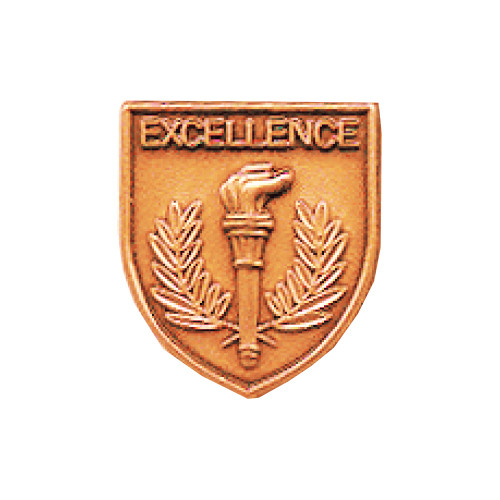 Bronze JROTC Excellence shield medal with a flaming torch flanked symmetrically by laurel branches.