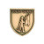 Gold shield-shaped JROTC Color Guard medal with three soldiers in profile, lead member carrying a flagpole.