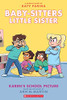 Karen's School Picture: A Graphic Novel (Baby-sitters Little Sister #5) 