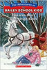 Unicorns Don't Give Sleigh Rides (The Adventures of the Bailey School Kids, No. 28)