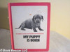 My Puppy Is Born