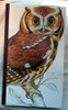 Book of North American Birds